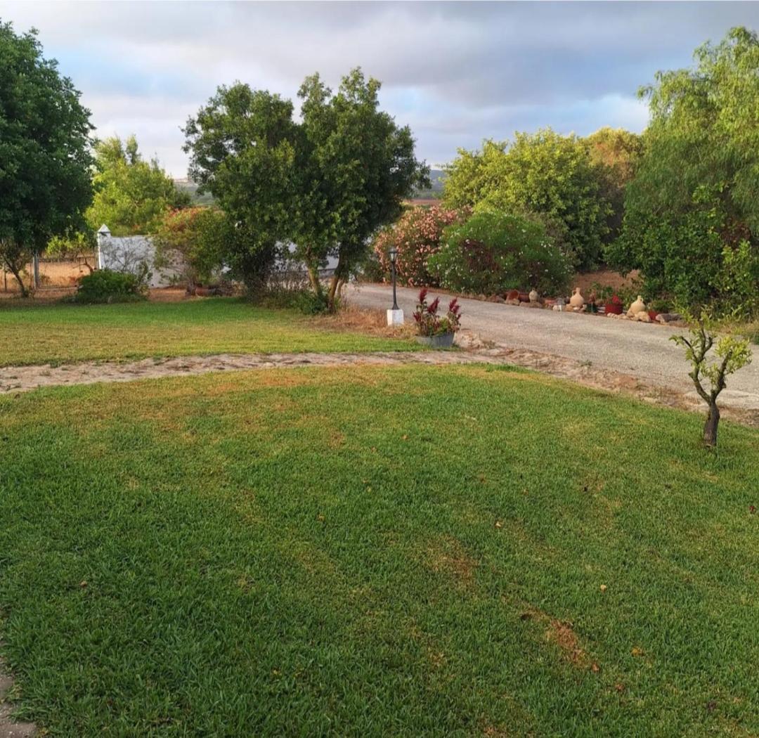 Casa Rural El Nino Santamaria , Con Piscina Y Wifi 贝赫尔-德拉弗龙特拉 外观 照片