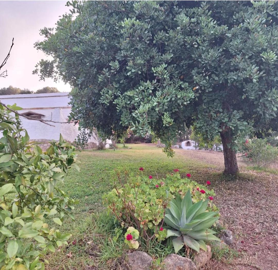 Casa Rural El Nino Santamaria , Con Piscina Y Wifi 贝赫尔-德拉弗龙特拉 外观 照片